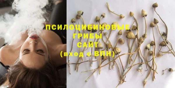 амф Елабуга