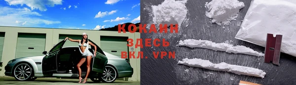 Альфа ПВП Елизово