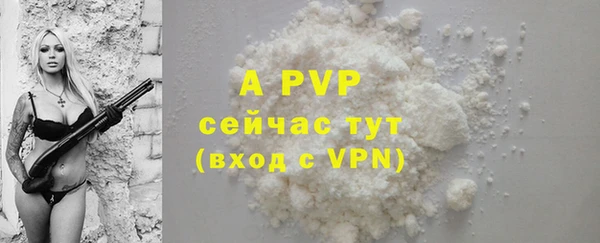 амф Елабуга
