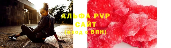 spice Ельня