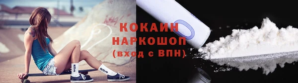 spice Ельня