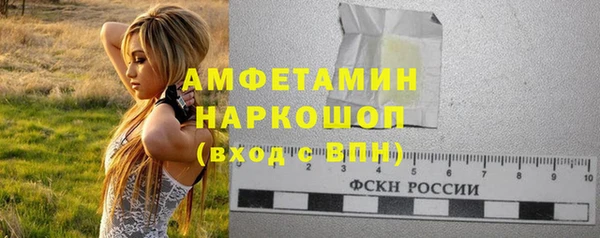 амф Елабуга