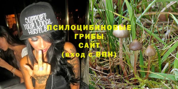 Альфа ПВП Елизово
