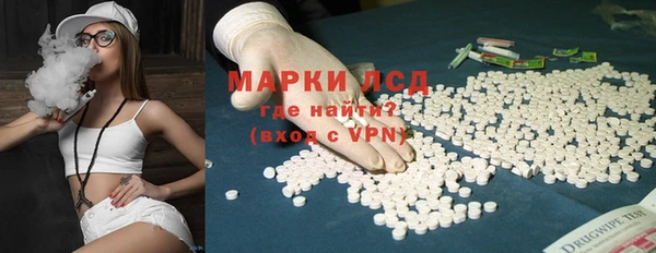 spice Ельня