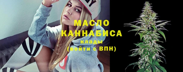 spice Ельня