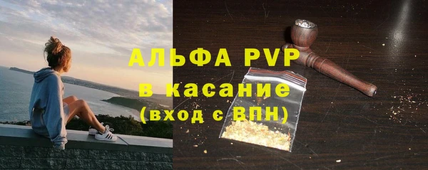 spice Ельня