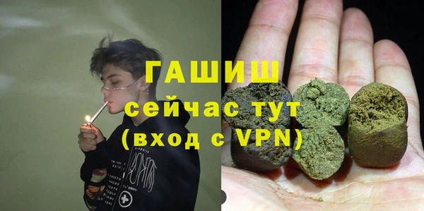 spice Ельня