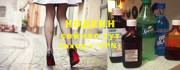 spice Ельня